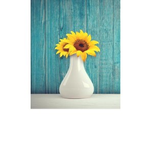 FOMEI SA Vinyl Glossy 270 Cat3